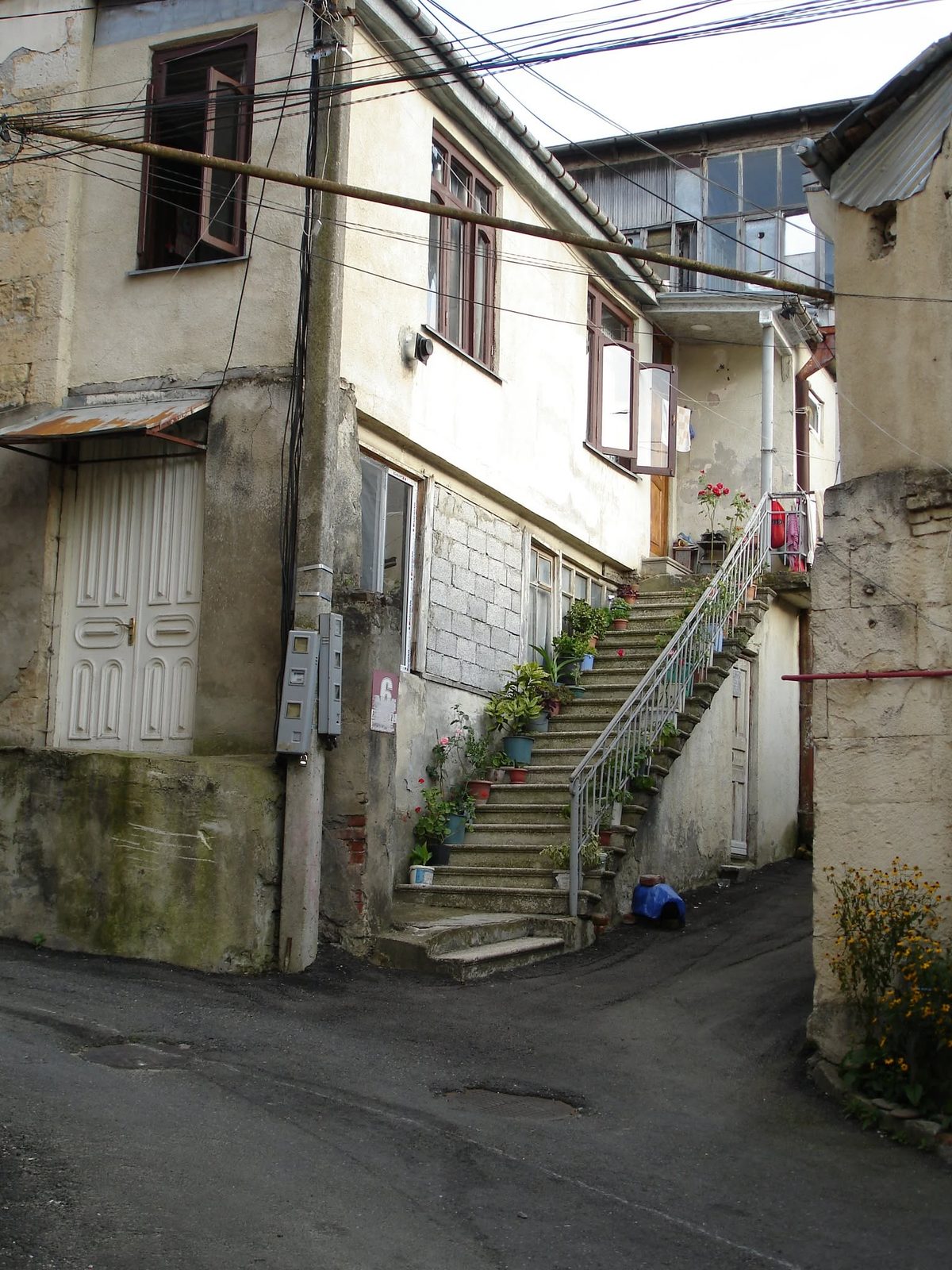 Une vieille cour avec un escalier extérieur et des fleurs sur les marches.