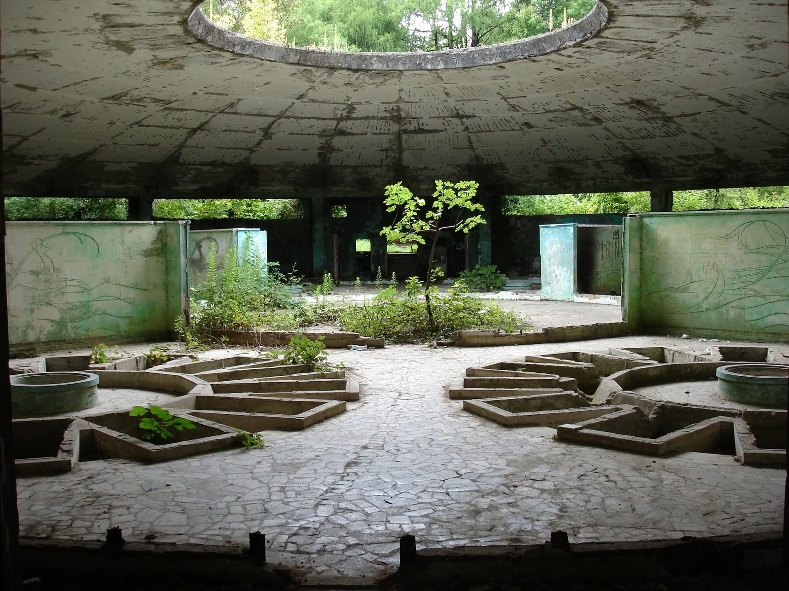 Une salle ronde avec un bassin et un petit arbre au milieu.