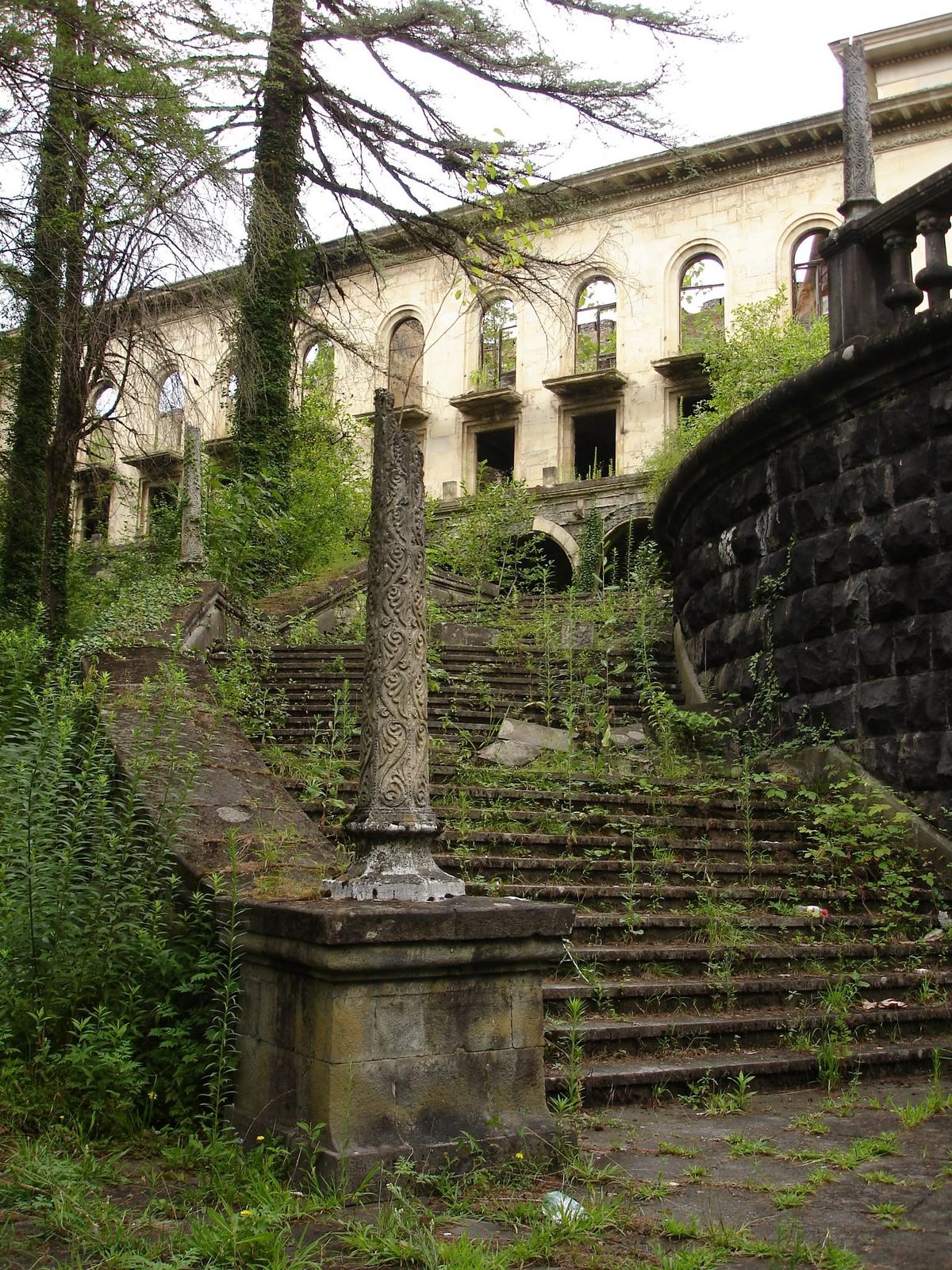 Un escalier envahi par la végétation, contre l'un des bâtiments.