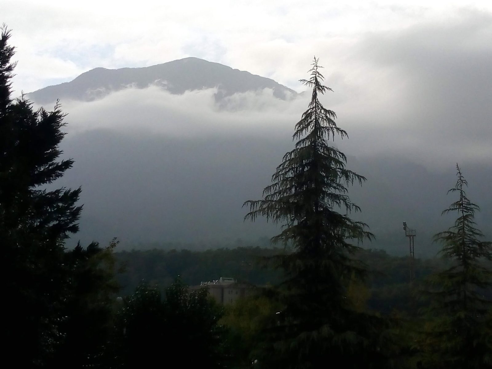 Des nuages du soir descendent sur le versant, un sapin sombre au premier plan.